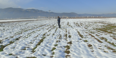 Gaziantep'te kar yağışı çiftçinin yüzünü güldürdü