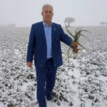 Kar yağışı çiftçileri sevindirdi