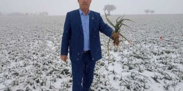 Kar yağışı çiftçileri sevindirdi 80 Kar yağışı çiftçileri sevindirdi