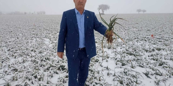 Kar yağışı çiftçileri sevindirdi 59 Kar yağışı çiftçileri sevindirdi