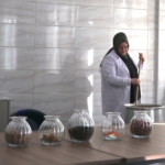 "Saray kumaşı"nı atık gıda malzemeleriyle renklendiriyor 46 "Saray kumaşı"nı atık gıda malzemeleriyle renklendiriyor