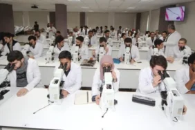 Güneydoğu Anadolu’nun Ocak’ta hububat ihracatı 279,9 milyon dolar oldu 1 thumbnail