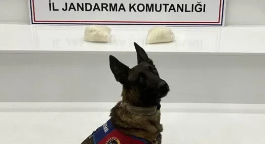 Şanlıurfa'da uyuşturucu operasyonunda 2 şüpheli yakalandı 10 AA-20260218-40594981-40594980-SANLIURFADA_UYUSTURUCU_OPERASYONUNDA_2_SUPHELI_YAKALANDI