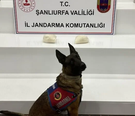 AA-20260218-40594981-40594980-SANLIURFADA_UYUSTURUCU_OPERASYONUNDA_2_SUPHELI_YAKALANDI