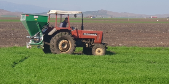 Gaziantep'te çiftçilerde gübreleme telaşı başladı 13 Gaziantep'te çiftçilerde gübreleme telaşı başladı