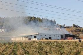 Hollandalı Bakan Schreinemacher Gaziantep'te temaslarda bulundu 1 thumbnail