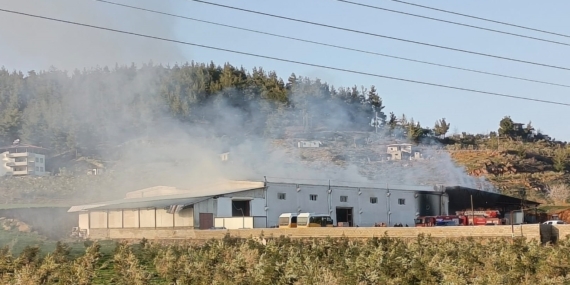 Gaziantep'teki biber fabrikasında çıkan yangın söndürüldü 13 Gaziantep'teki biber fabrikasında çıkan yangın söndürüldü