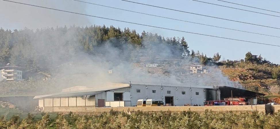 Gaziantep'teki biber fabrikasında çıkan yangın söndürüldü 2 Gaziantep'teki biber fabrikasında çıkan yangın söndürüldü