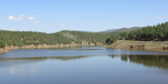 İslahiye'deki tarımsal sulama göletlerinde doluluk oranı arttı 15 İslahiye'deki tarımsal sulama göletlerinde doluluk oranı arttı