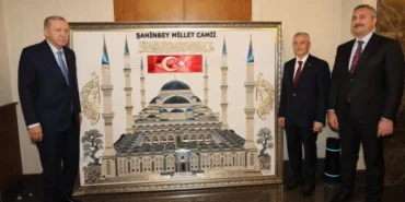 CUMHURBAŞKANIMIZ (2)