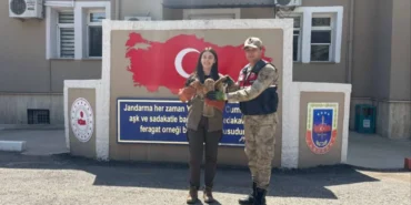 AA-20260415-41110906-41110903-KILISTE_YARALI_BULUNAN_KIZIL_SAHIN_KORUMA_ALTINA_ALINDI