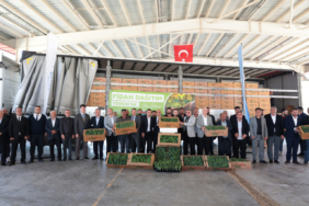 Araban'da karpuz üreticilerine karpuz fidesi dağıtıldı