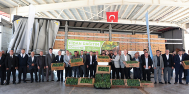 Araban'da karpuz üreticilerine karpuz fidesi dağıtıldı