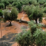 İslahiye'de sağanak nedeniyle taşan derelerde çalışma başlatıldı
