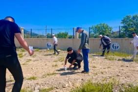 GAÜN NURDAĞI MYO’DA BİN ZEYTİN FİDANI TOPRAKLA BULUŞTU - (4)