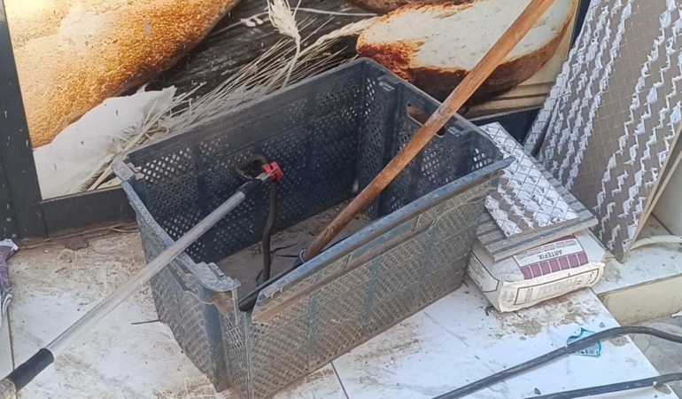 Gaziantep'te ekmek sandığına giren yılan yakalandı