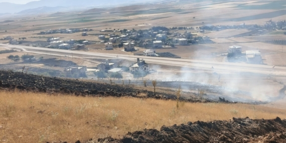 Gaziantep'te zeytinlikte başlayıp ormana sıçrayan yangın söndürüldü