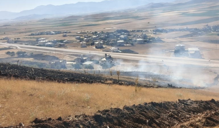 Gaziantep'te zeytinlikte başlayıp ormana sıçrayan yangın söndürüldü