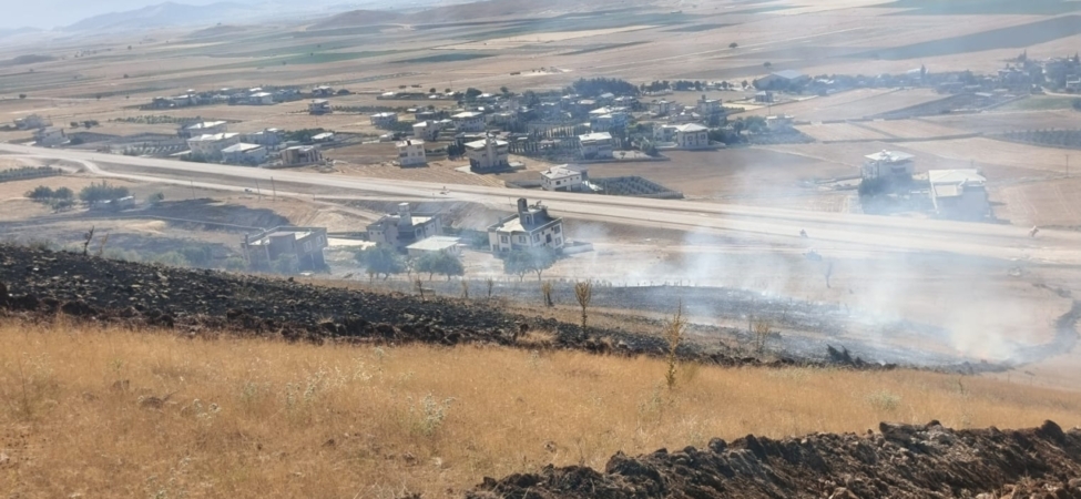 Gaziantep'te zeytinlikte başlayıp ormana sıçrayan yangın söndürüldü
