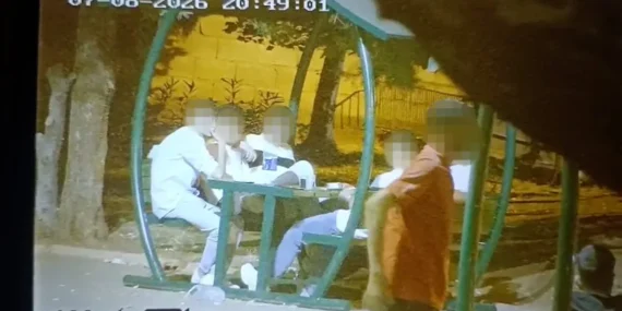 çevre temizliği (3)