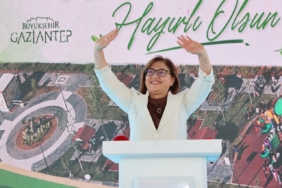 Gaziantep Nizip'te 138 m2 arsa ve üzerindeki bina icradan satılıktır 1 thumbnail