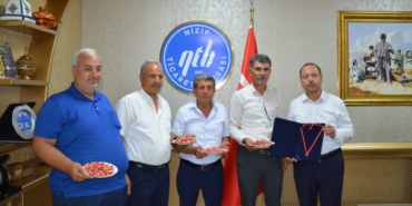 Nizip'te yılın ilk erkenci Antep fıstığını getiren üretici yarım altınla ödüllendirildi